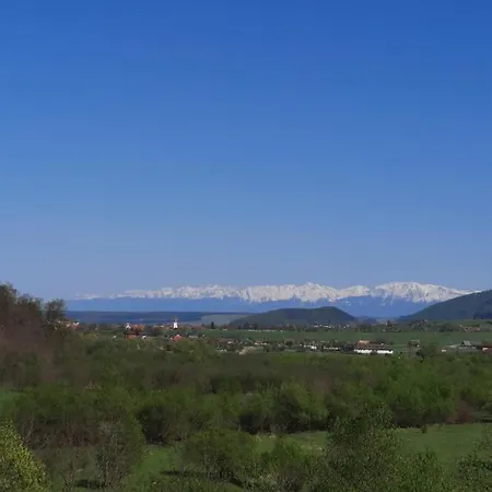 Marginimea Sibiului Orlat