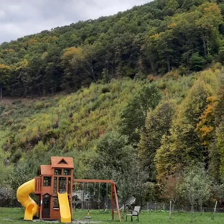Marginimea Sibiului 2* Orlat