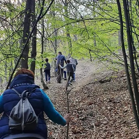 Marginimea Sibiului Pensjonat